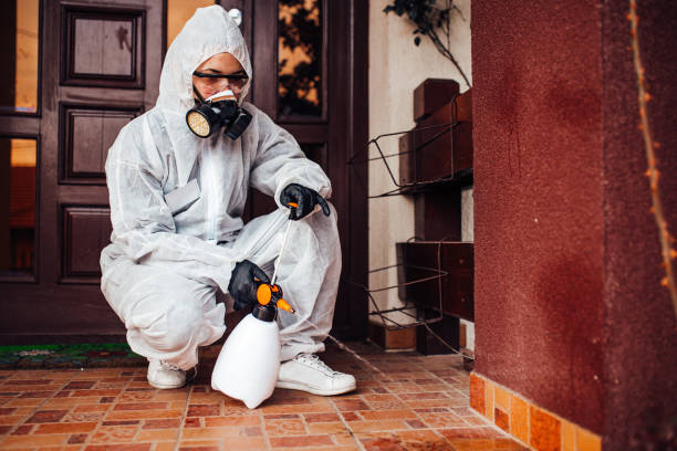 Reliable Cockroach Control contractor in Lealman, FL by Nex Pest Control